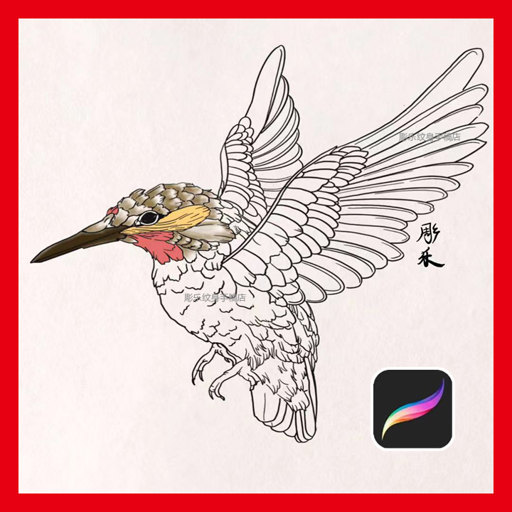 procreate纹身笔刷写实飞鸟小鳥鹦鹉扫描线稿图案欧美印花素材