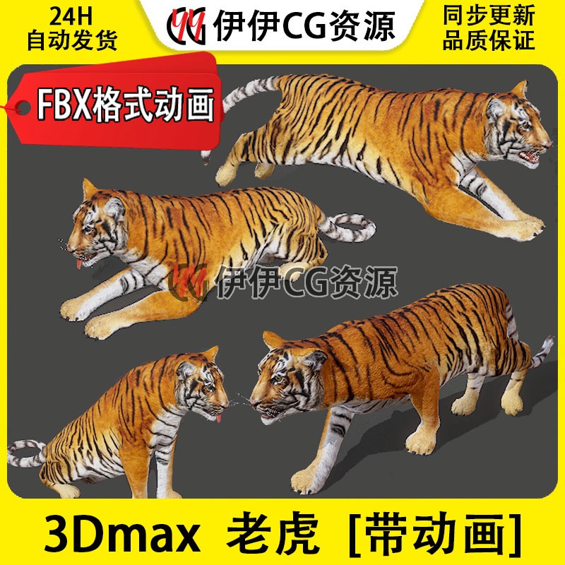 3DMax动物模型3D模型老虎Tiger猛虎大老虎东北虎FBX动画文件3D