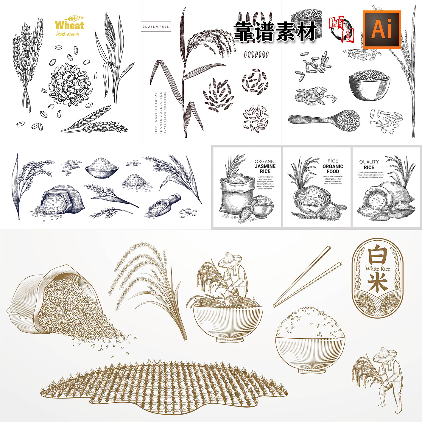 素描线描水稻稻谷粮食白米饭大米稻子稻穗石路插画设计素材