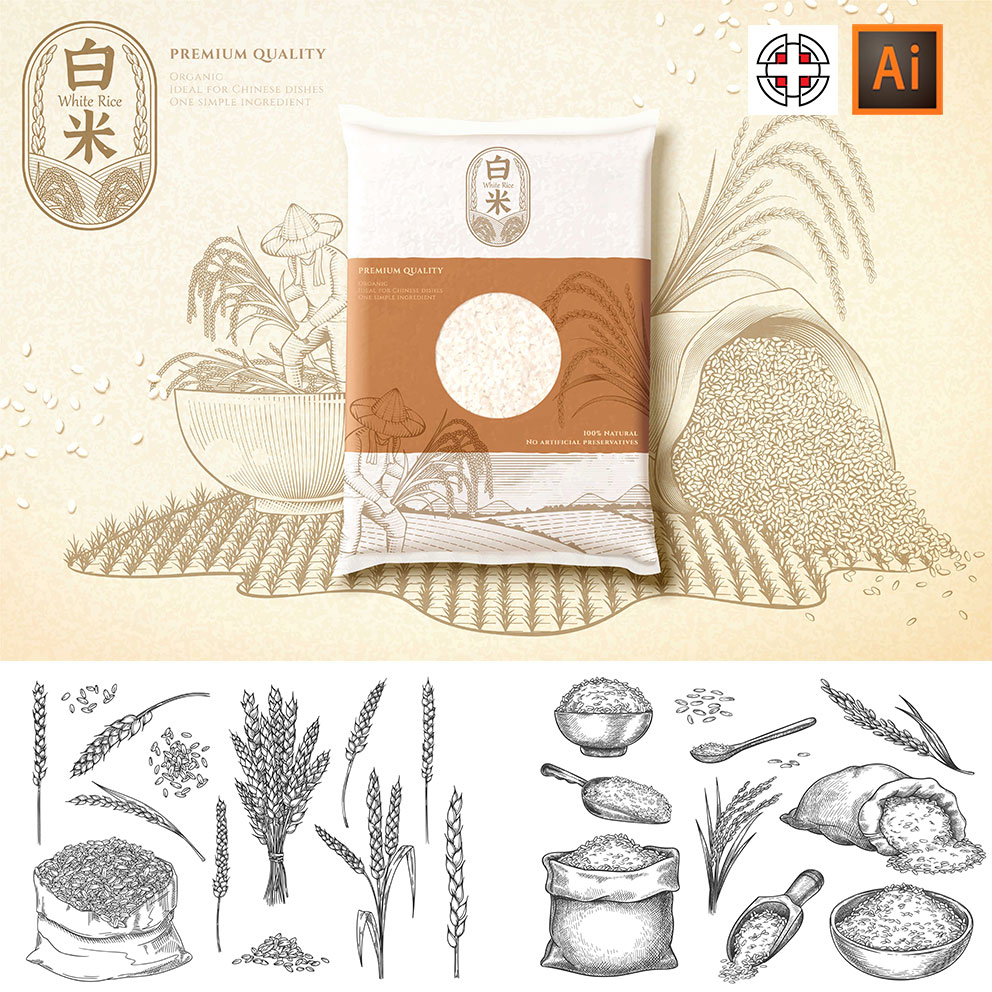 手绘素描草图黑白线描大米白米饭稻穗水稻AI矢量设计素材