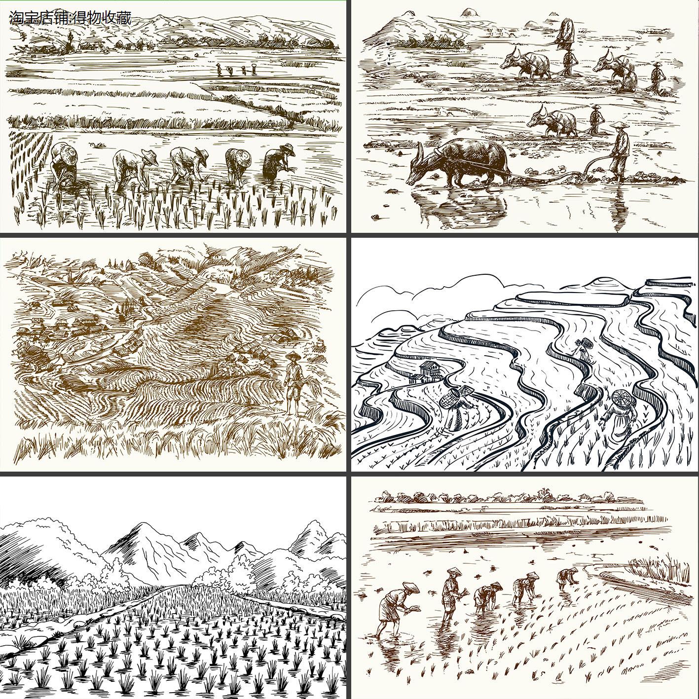 手绘素描线描农村乡村耕种插秧稻田农田水稻种植插画设计素材