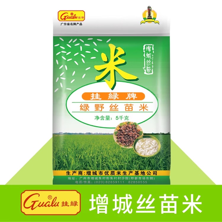 增城丝苗米挂绿牌绿野米 5kg晚稻新米籼米煲仔饭蒸饭米真空包装