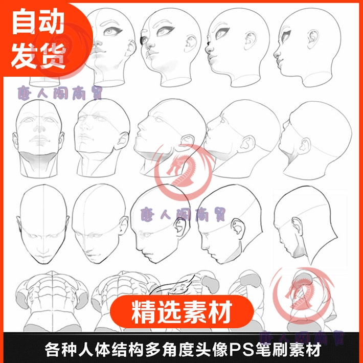 ps动漫画各种人体头像多角度姿势笔刷游戏角色人物绘画设计期素材