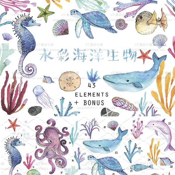 水彩手绘海洋鱼类鲸鱼贝壳珊瑚PNG免抠卡通儿童设计素材[PS3706]