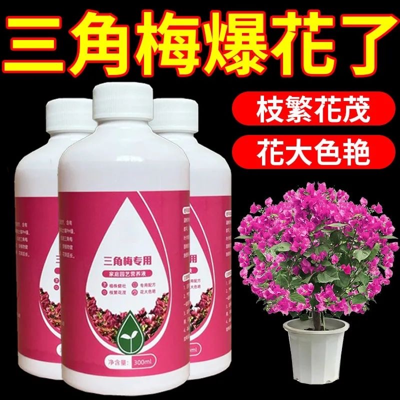 【半价抢】三角梅肥料专用肥植物营养液梅花家用花卉养花促开花