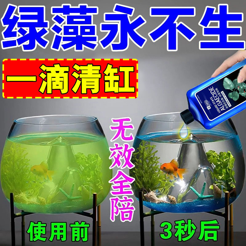 鱼缸除藻剂去蓝青苔绿藻清除剂鱼池除褐藻黑毛藻水草专用不伤鱼药