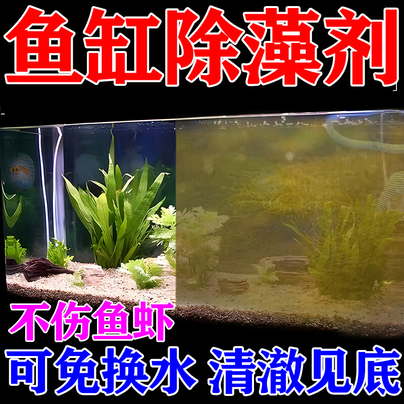 鱼缸除藻去苔剂鱼缸壁专用除褐藻青苔黑毛藻绿水戊二醛鱼缸除藻剂