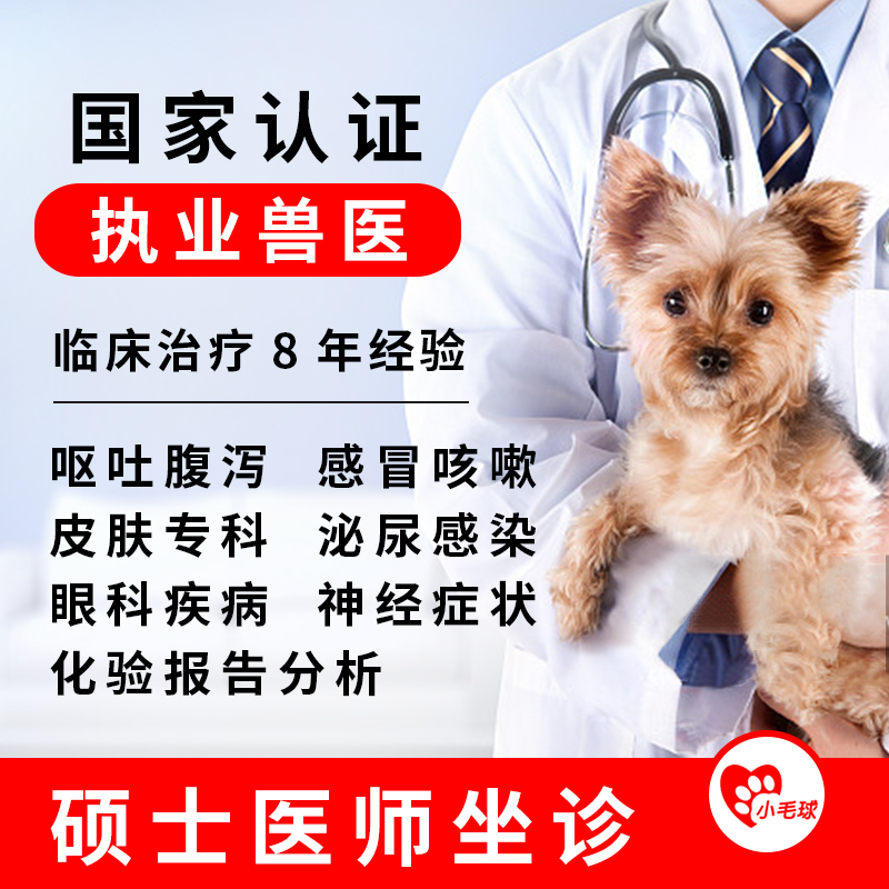 宠物医生在线咨询犬猫咪狗狗生病药店诊所网上看病兽医问诊