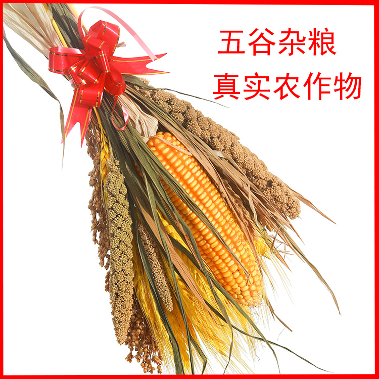 农家乐装饰玉米麦穗水稻高粱小米干花蔬菜五谷杂粮真实农作物挂件