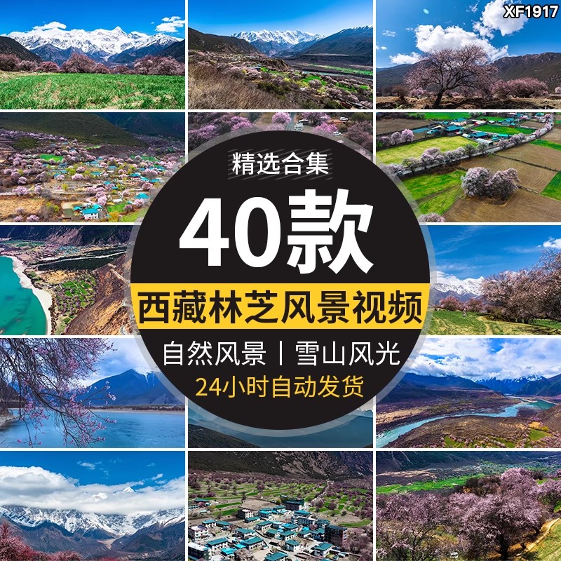 西藏林芝风光桃花节波密桃花沟藏族村落风景旅游景点高清视频素材