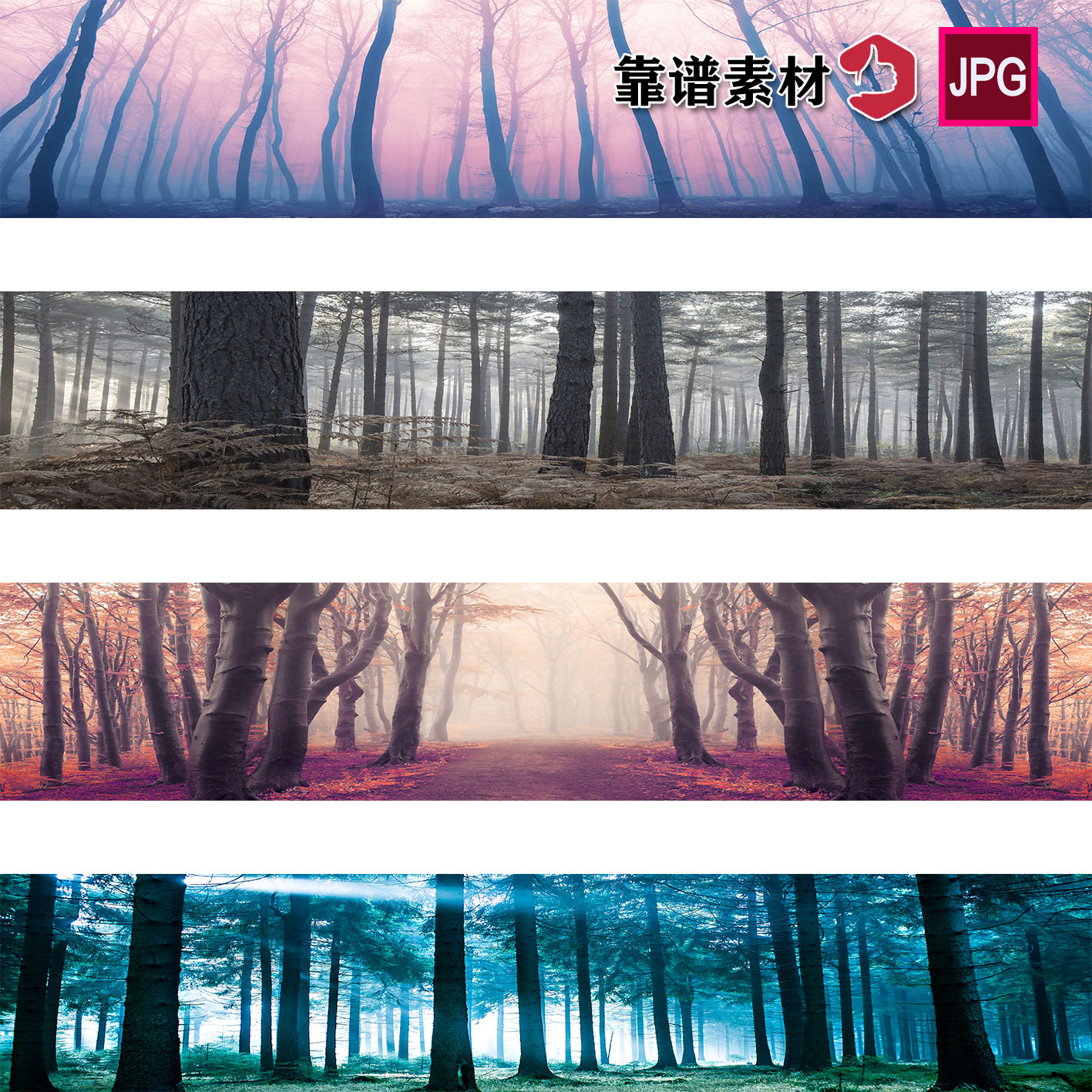 长景图高级色彩树林森林唯美高清背景图片设计素材