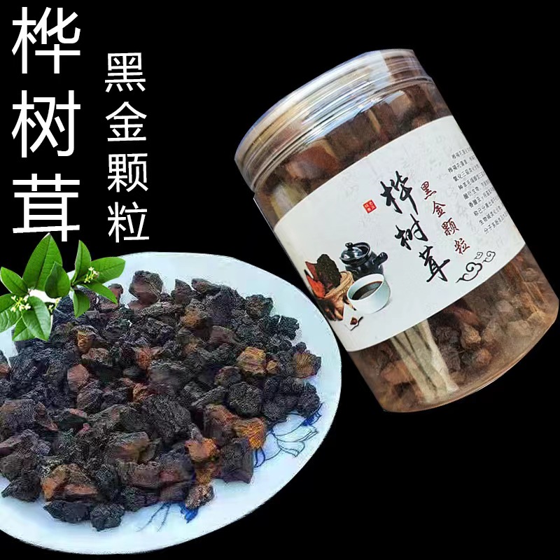 桦褐孔菌代用茶