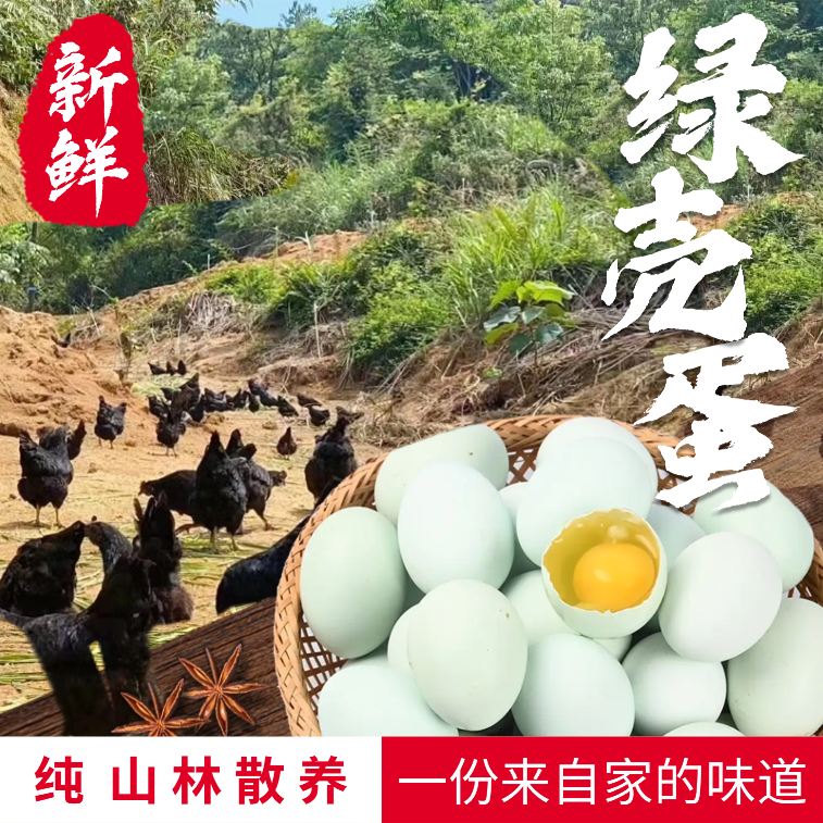 新鲜五黑鸡绿壳蛋山林散养农家土鸡蛋笨鸡蛋月子蛋天然绿壳蛋包邮