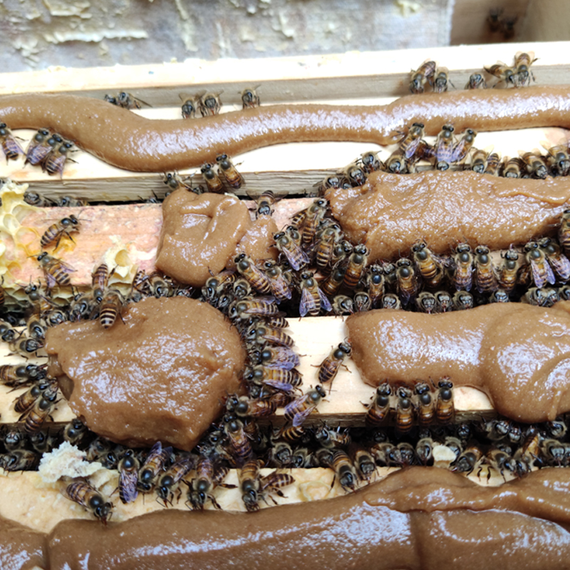 中蜂花粉浆养蜂喂蜂蜂用发酵花粉浆春繁养蜜蜂饲料真过瘾花粉浆
