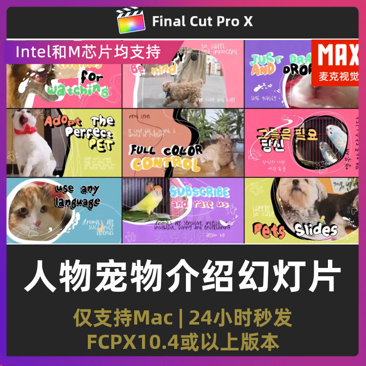 fcpx插件 9个模块化场景卡通多彩幻灯片人物介绍宠物展示模板