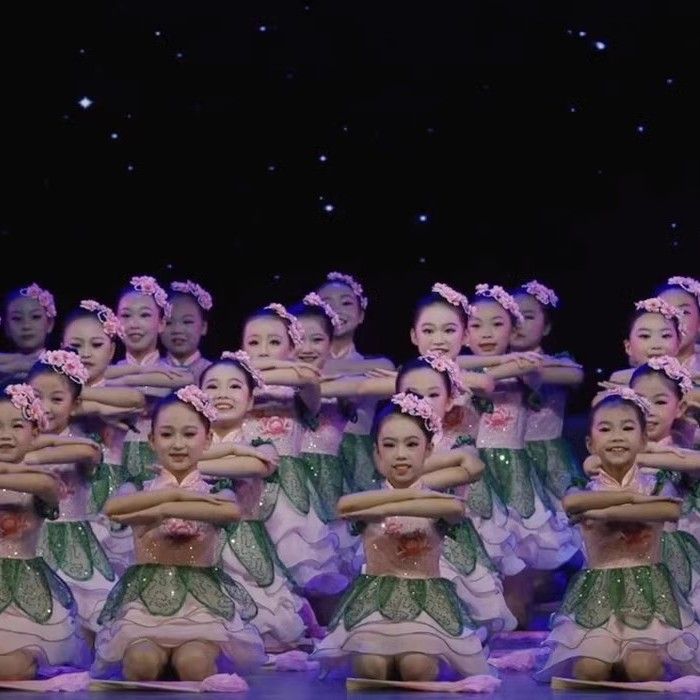 巴拉巴柆第十一届小荷风采六一儿童舞蹈表演服我为祖国画朵花儿童