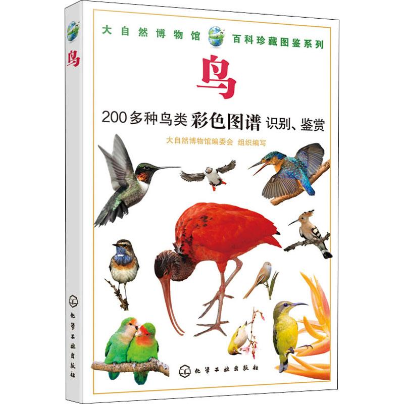 鸟：大自然博物馆编委会 编 文教科普读物 文教 化学工业出版社