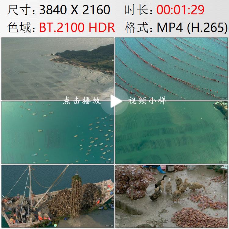 航拍辽宁大连长海县海洋牧场渔民捕捞扇贝生蚝现场加工视频素材