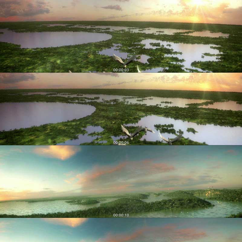 丹顶鹤栖息地 自然保护区 湿地湖泊 鄱阳湖 三维动画漫游视频素材