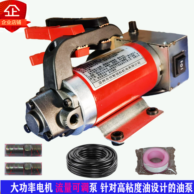 220V高压抽油泵12V电动 汽车 机油泵微型加油器齿轮 铸铁 正反抽