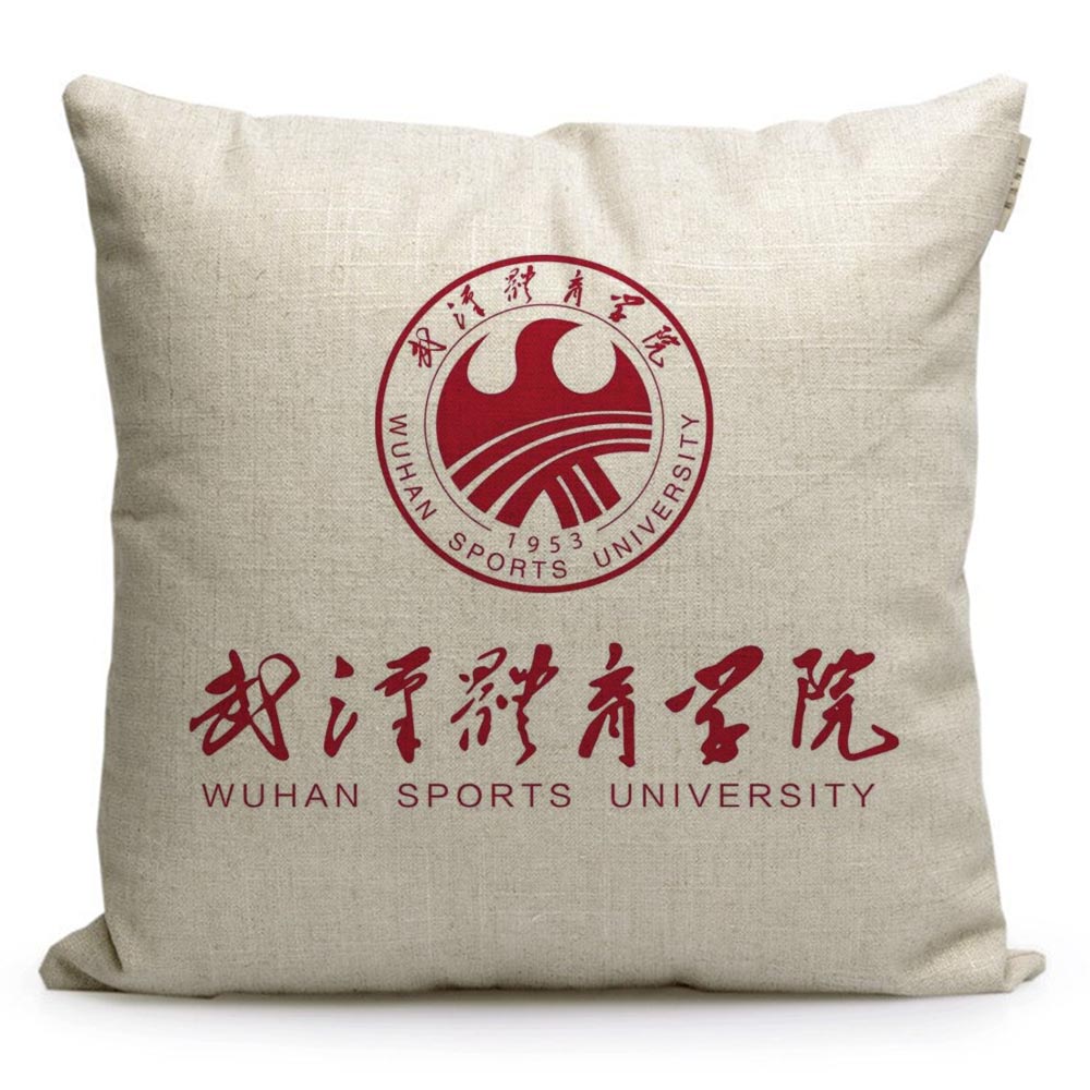 武汉体育学院纪念品周边定制礼品学生座椅靠垫靠枕沙发学生抱枕