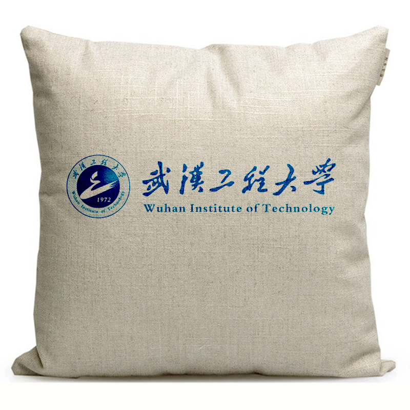 武汉体育学院周边纪念品定制校园礼品沙发抱枕靠垫学生靠枕