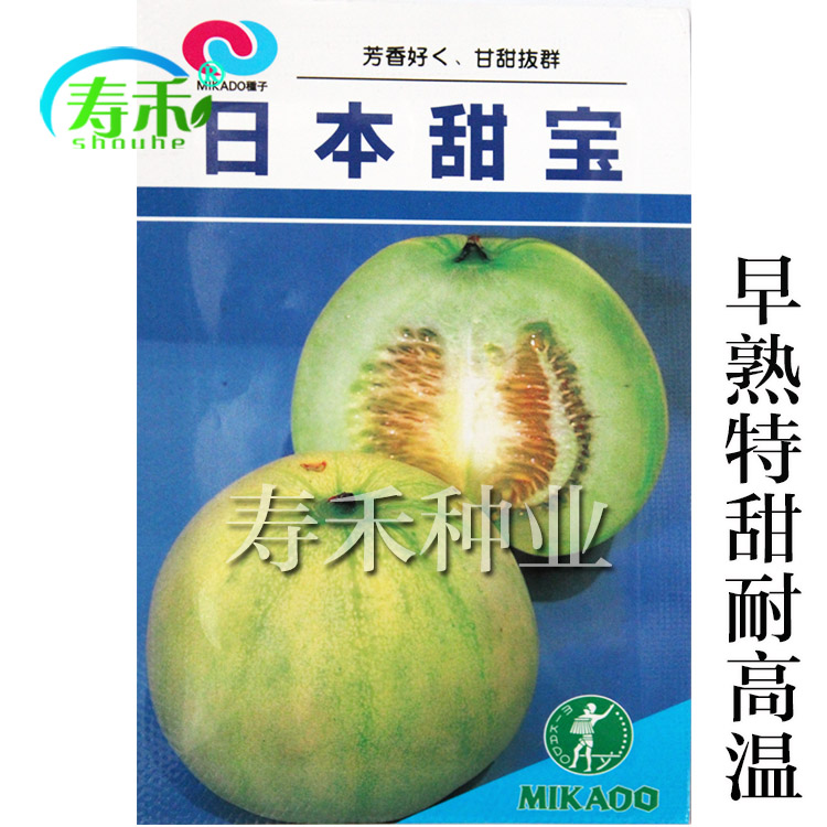 超甜日本甜宝甜瓜种子种籽孑特甜高产绿宝南方香瓜春季老品种大全