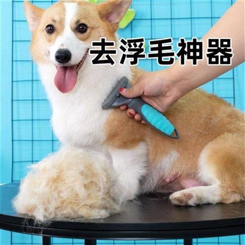 狗狗梳子梳毛神器宠物用品猫咪刷子柯基专用小型犬去浮毛刷梳狗毛
