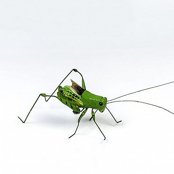 螳螂蝈蝈蛐蛐知了蝉昆虫模型装饰摆件蝗虫蜜蜂蚂蚁天牛车载饰品