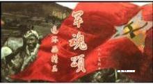 庆祝中华人民共和国建国60周年典藏连环画：军魂颂（全套53本）,
