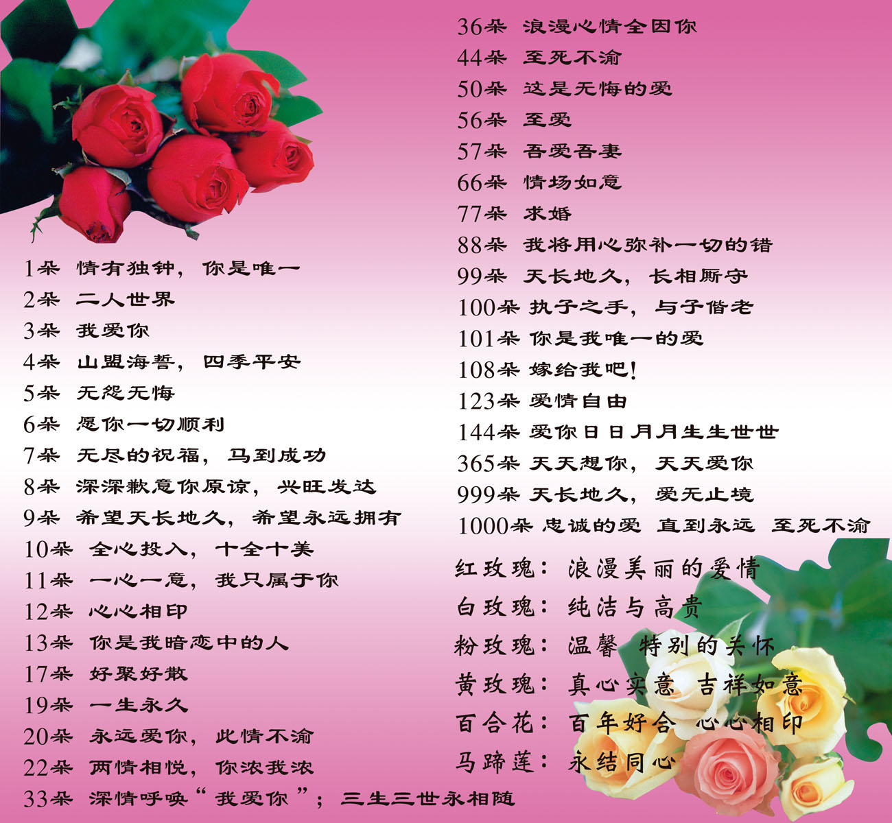 724海报印制展板喷绘素材贴纸1274鲜花的含义花语