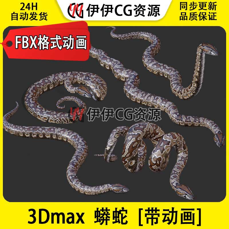 3D模型3DMax动物模型蛇蟒蛇眼镜蛇树蚺FBX动画文件白蛇snake毒蛇
