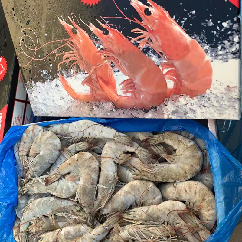 厄瓜多尔白虾 欧玛莎盐冻白对虾 肉厚壳薄青岛海水虾