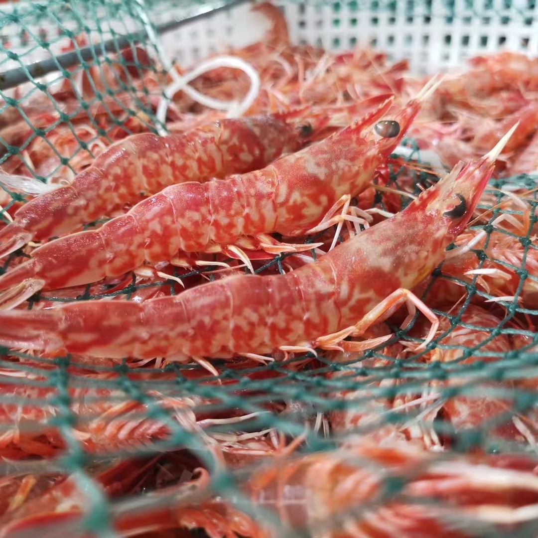 东山岛樱花虾海鲜须赤虾赤米虾海鲜海虾活冻水产宝宝辅食250g