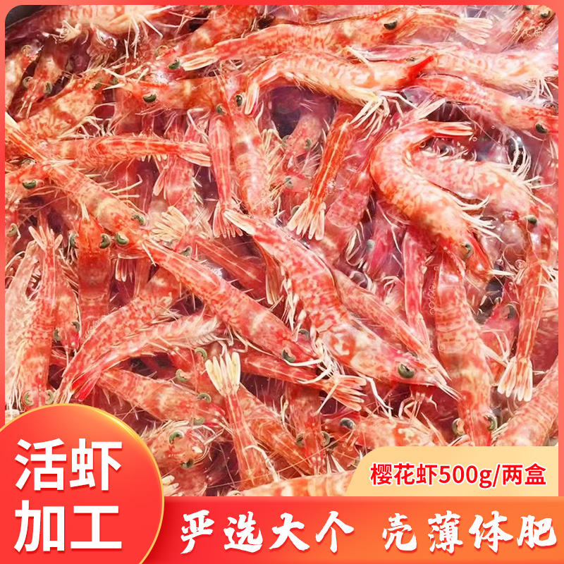东山岛海捕樱花虾去虾线赤米虾鲜活刺身海虾冷冻水产顺丰包邮250g