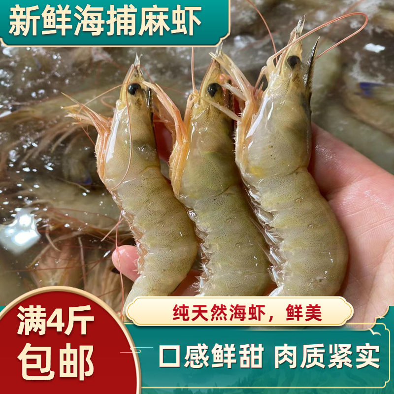 海虾鲜活麻虾新鲜滑皮虾野生剑虾北海海鲜水产冷冻基围虾速冻鲜虾