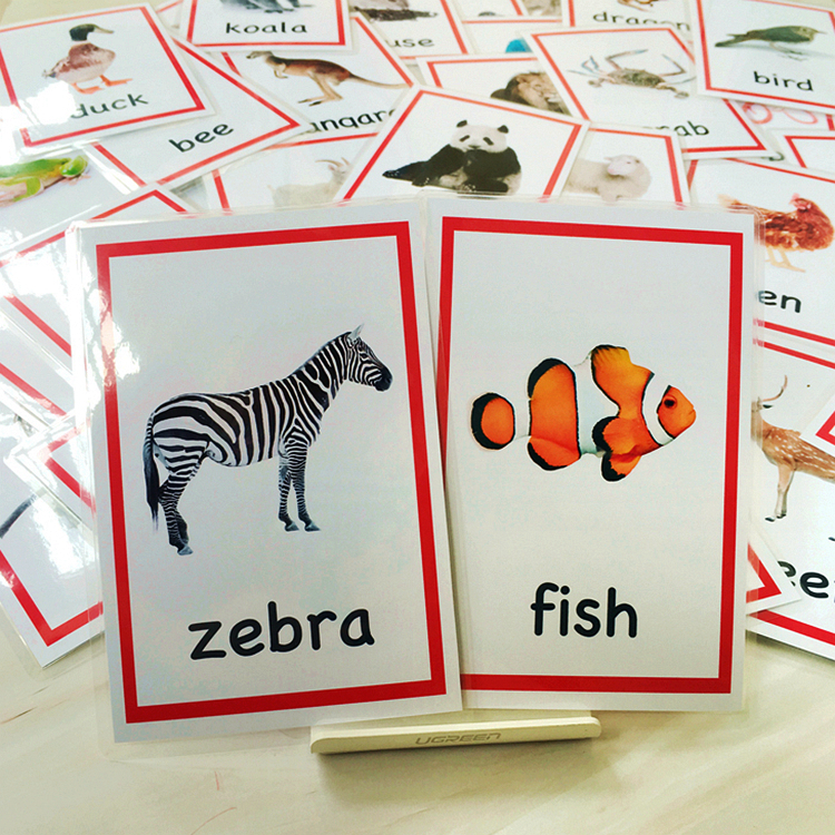 英语卡片闪卡animal动物卡72张儿童实物图单词卡早教启蒙教师教具