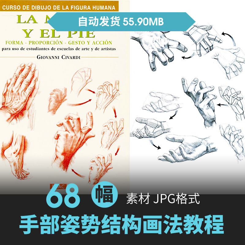 手部姿势动作骨骼解剖人体结构动态手绘动漫素描线稿速写教程素材