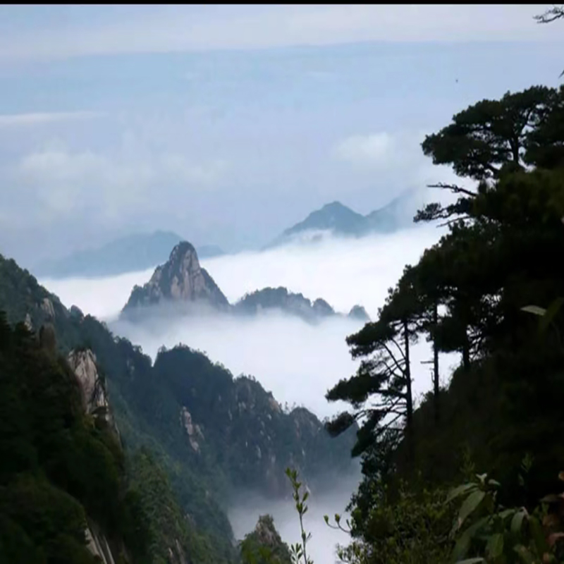 江西三清山风景图片
