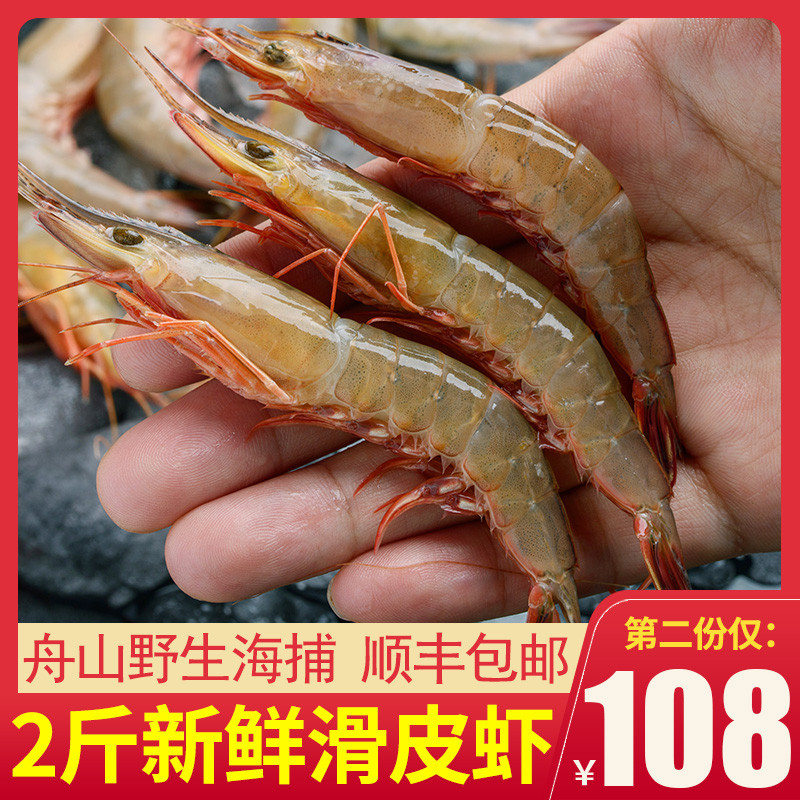硬壳虾 野生