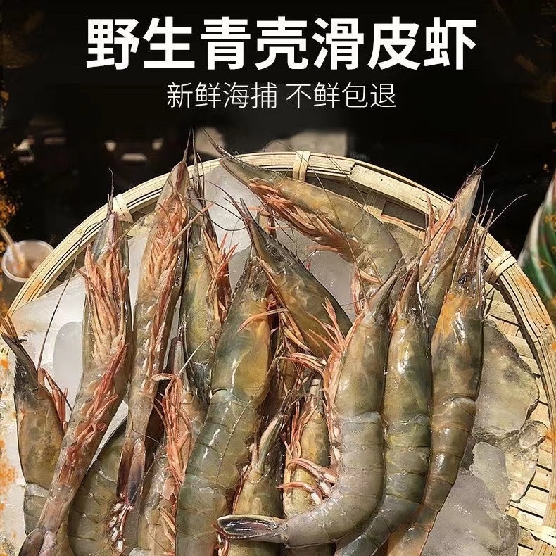 舟山野生滑皮虾新鲜海虾硬壳青壳活皮虾海鲜38头-45头500克