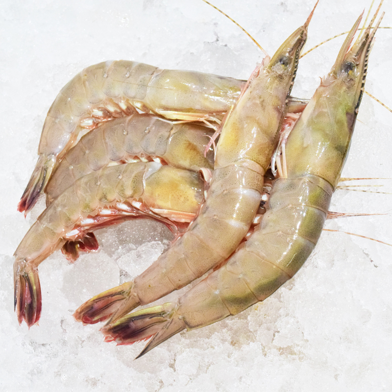 滑皮虾剑虾野生海虾新鲜虾硬壳虾每份1斤 4斤顺丰包邮