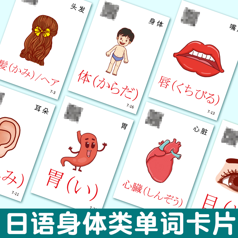 日语分类单词卡片嘴巴鼻子眼睛耳朵身体类词汇双面塑封彩图大闪卡