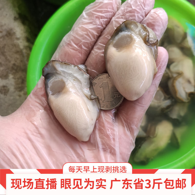 鲜活牡蛎肉潮汕大蚝野生蚝海蛎肉现剥现卖海鲜水产贝类500克