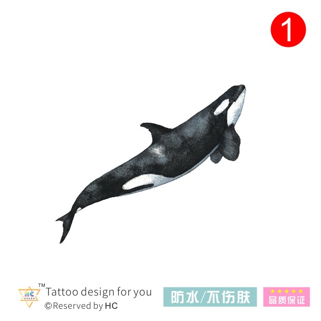 【旅游系列】手绘动物虎鲸纹身贴黑白鲸鱼港风原宿防水持久纳米