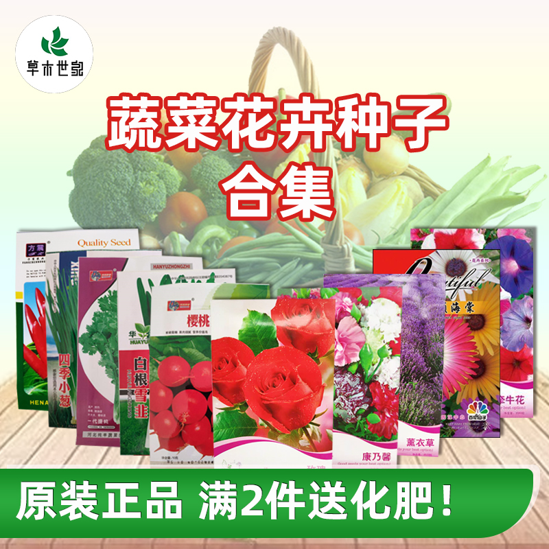 蔬菜种子花卉种子大全鲜花菠菜小白菜上海青玫瑰薄荷阳台盆栽香菜
