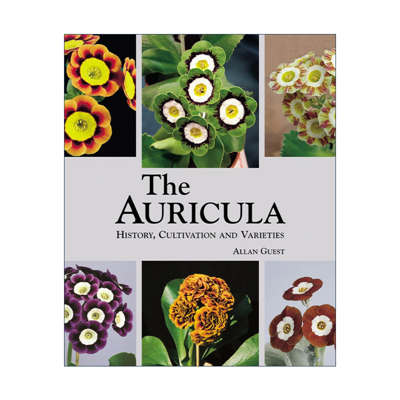 英文原版 Auricula History  Cultivation and Varieties 报春花 耳叶报春 金雀花 历史 栽培和品种 精装英文版进口英语原版书籍