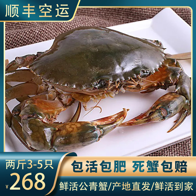 三门野生鲜活公青蟹超大特大2斤3-4只超值处子蟹红鲟肉蟹水产海鲜