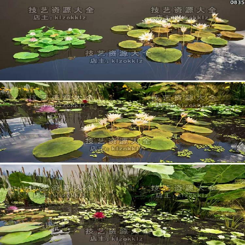 ue5荷花荷叶水生植物3d模型荷塘场景池塘水面莲花睡莲荷花池素材