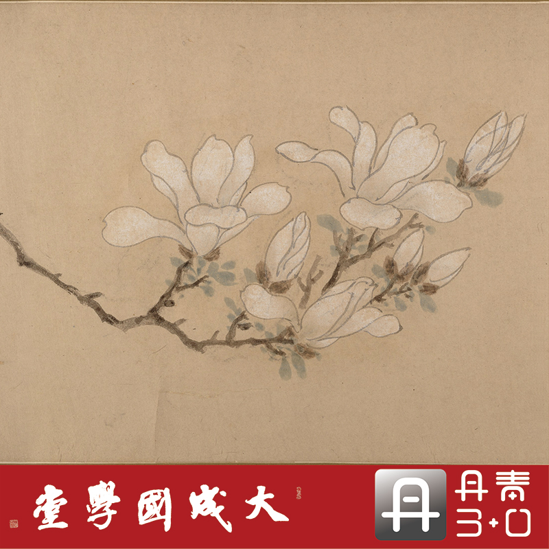文征明白玉兰图卷 真正1:1超清复制中国画古画客厅装饰画绢卷2021